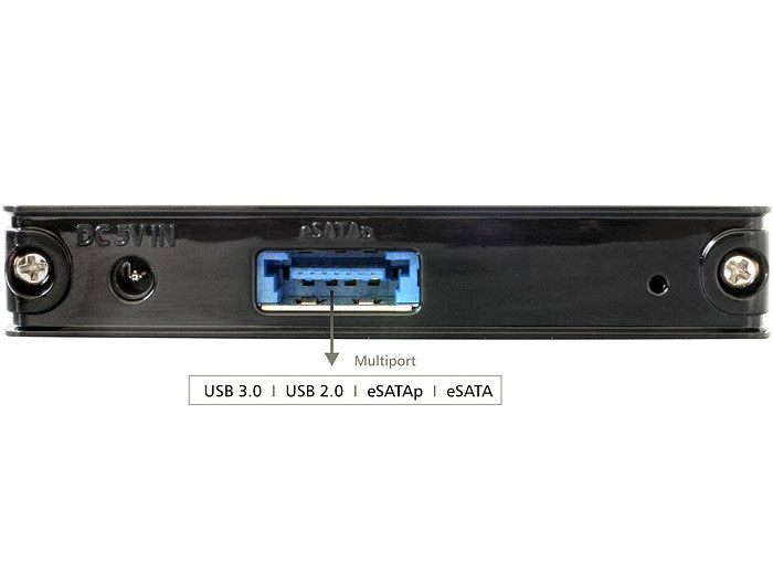 maximize sing spoon Delock 42508 Multi-Port [eSATA(p), USB 3.0] External Enclosure for mSATA  6Gb/s SSD - DISCONTINUED